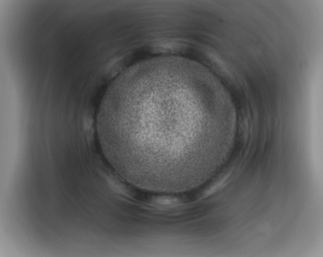 X0000113540749200910021349