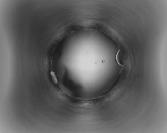 X0000113540750200910021349