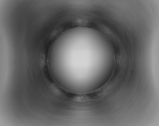 X0000113540752200910021349