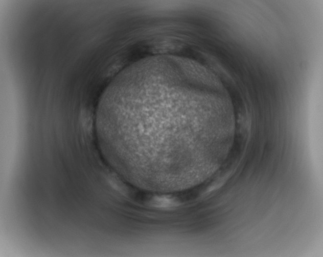 X0000113540753200910021349