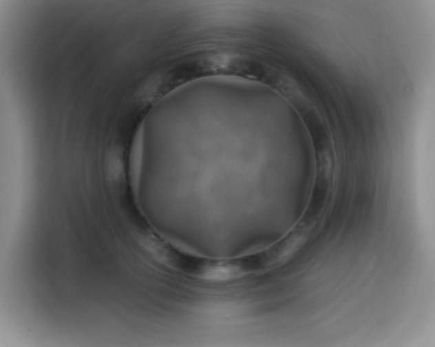 X0000113540754200910021349