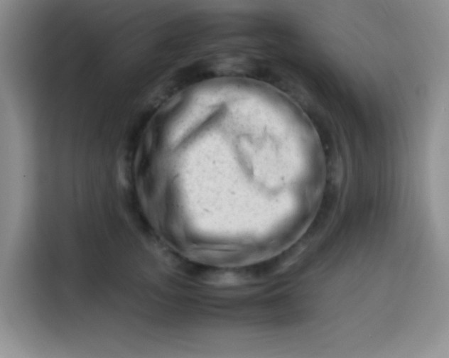 X0000113540755200910021349