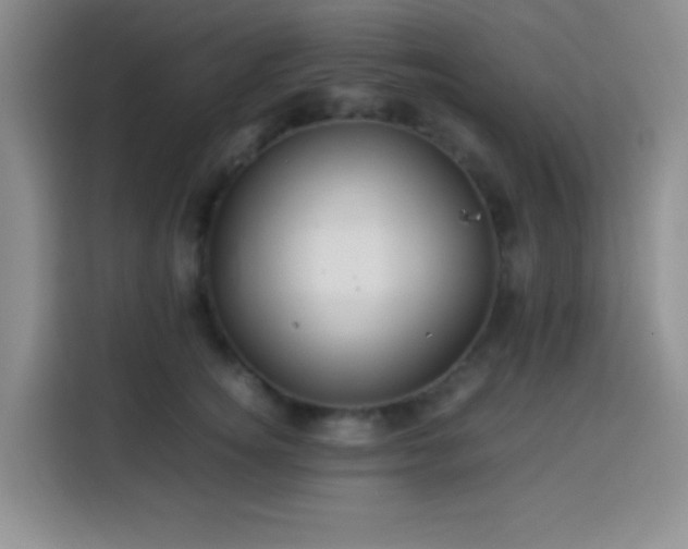 X0000113540756200910021349