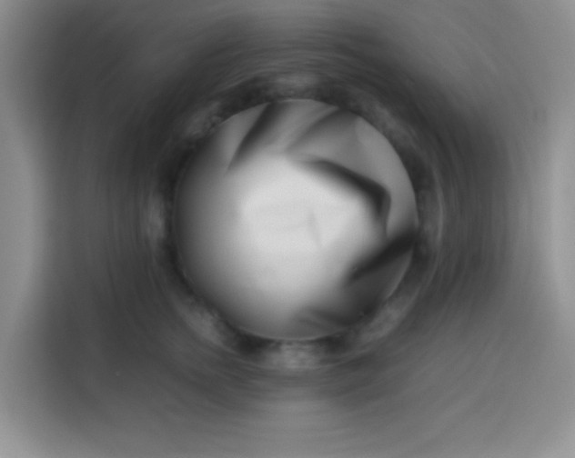 X0000113540758200910021349