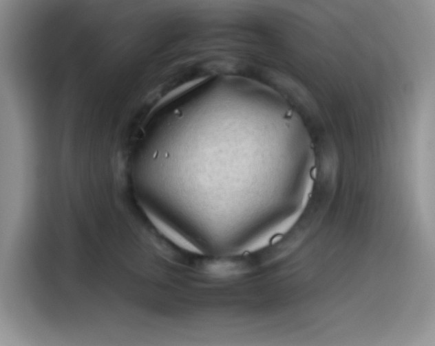 X0000113540759200910021349