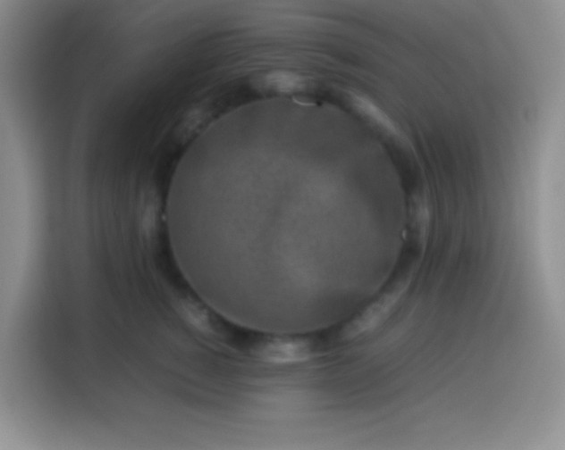 X0000113540760200910021349