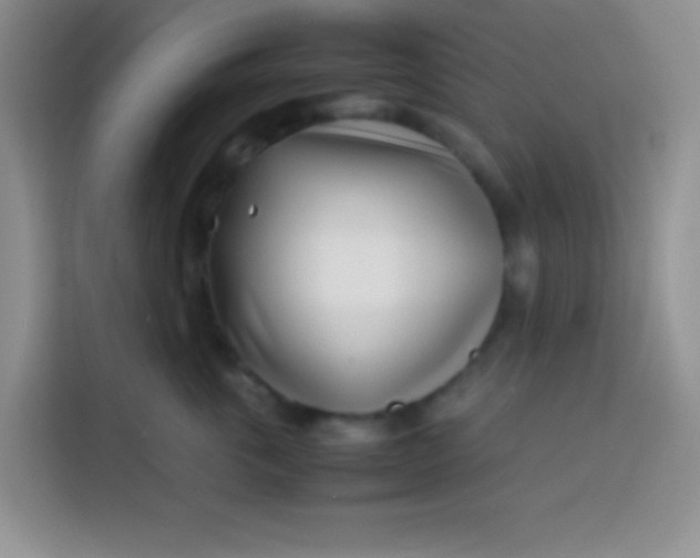 X0000113540763200910021349