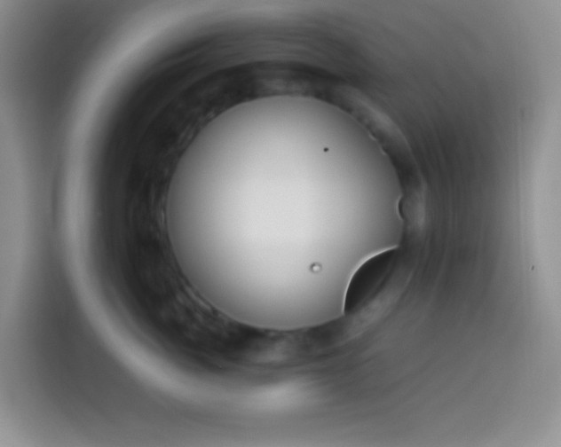 X0000113540764200910021349