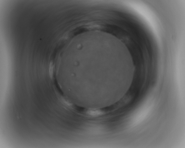 X0000113540767200910021349