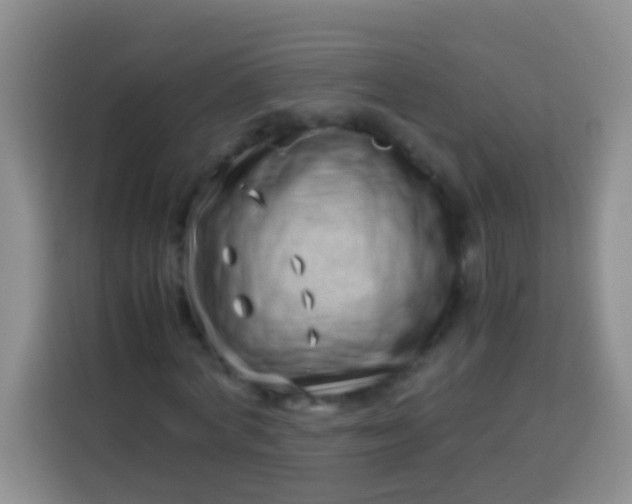 X0000113540772200910021349