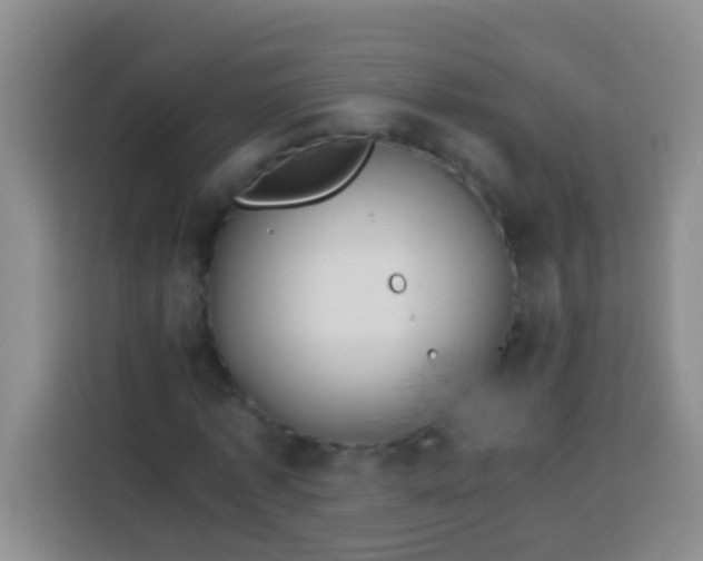 X0000113540773200910021349