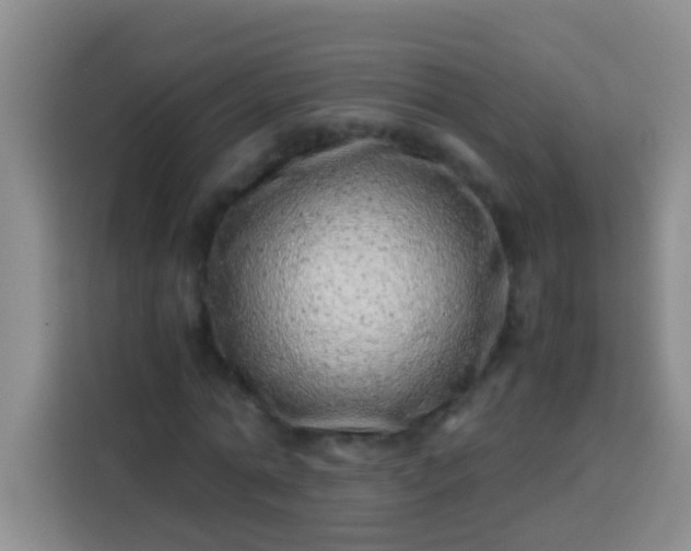 X0000113540774200910021349