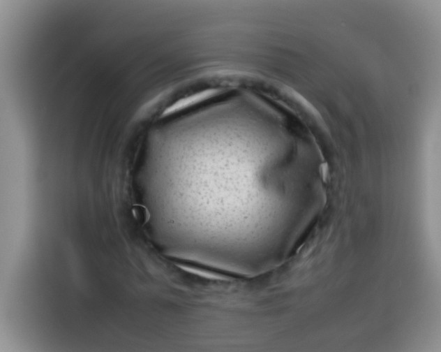 X0000113540775200910021349