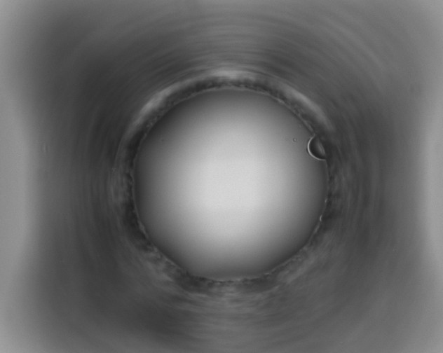 X0000113540776200910021349