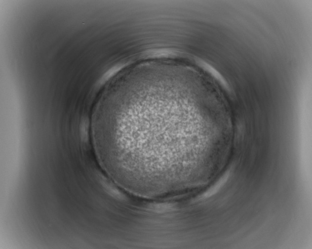 X0000113540778200910021349