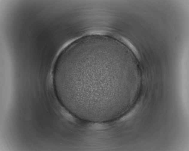 X0000113540779200910021349