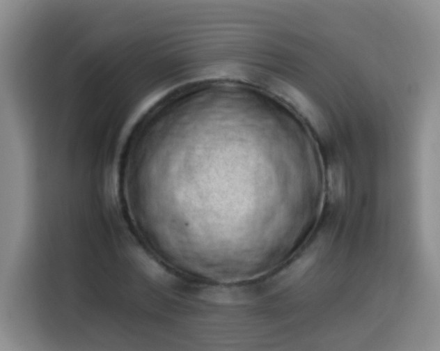 X0000113540780200910021349