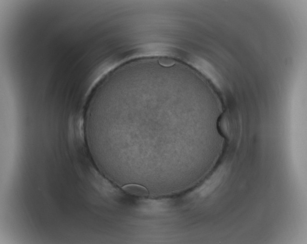 X0000113540781200910021349