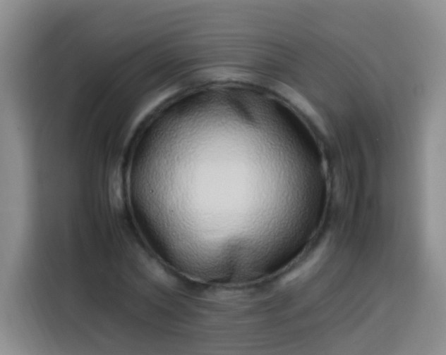 X0000113540782200910021348