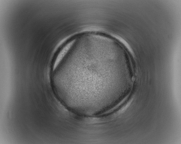 X0000113540783200910021348