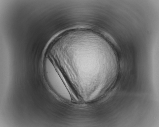 X0000113540784200910021348