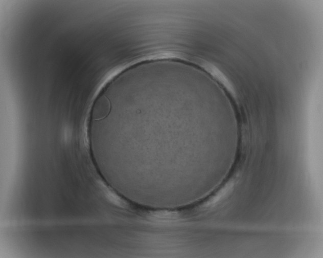 X0000113540789200910021348