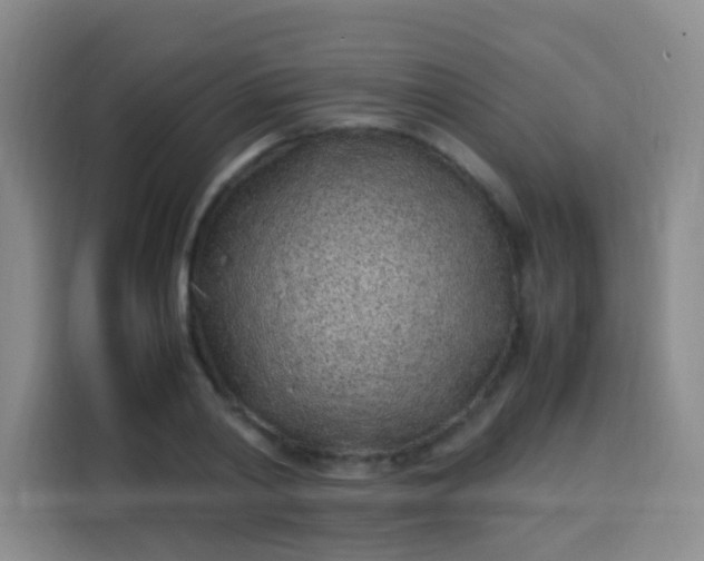 X0000113540790200910021348