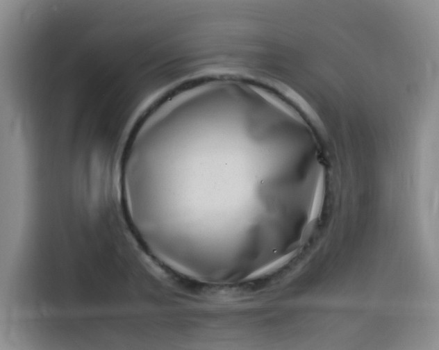 X0000113540791200910021348