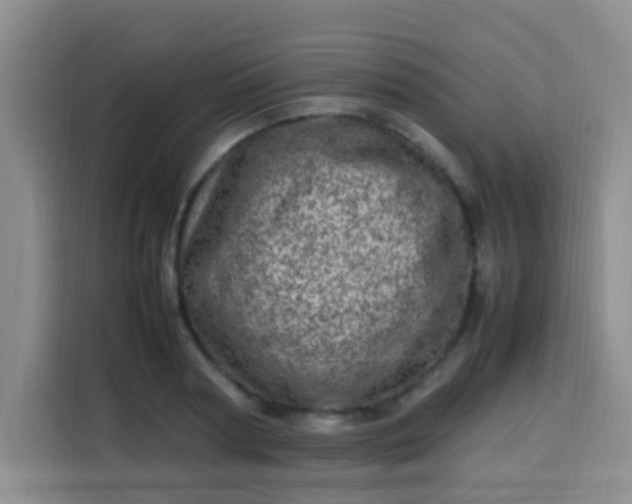 X0000113540794200910021348