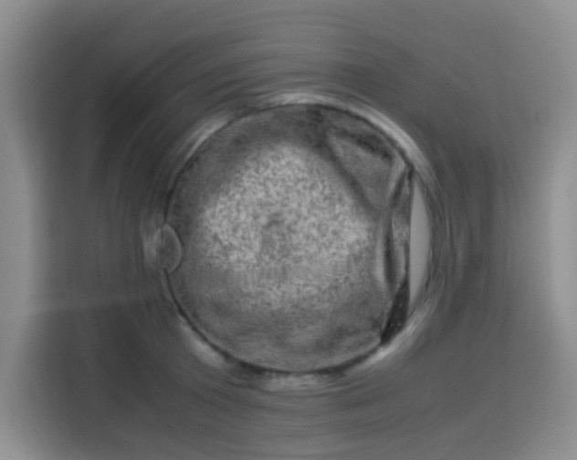 X0000113540801200910021348