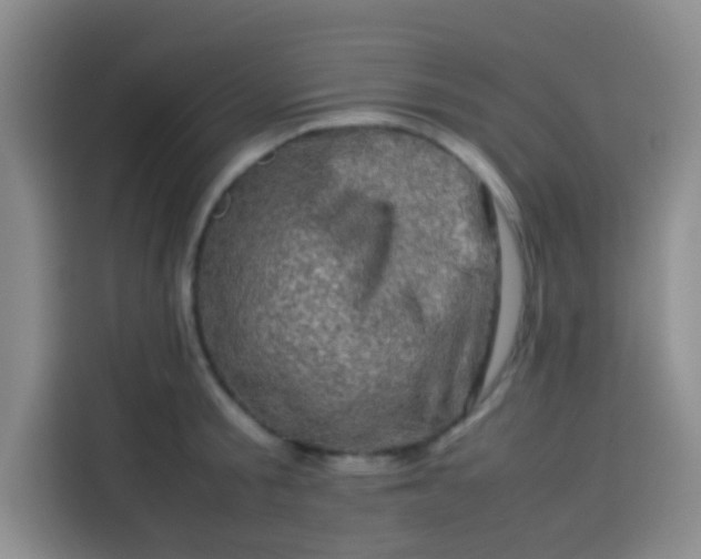 X0000113540805200910021348