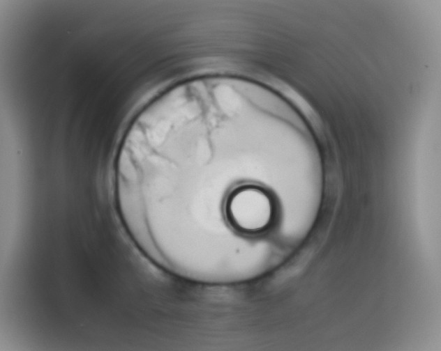 X0000113540807200910021348