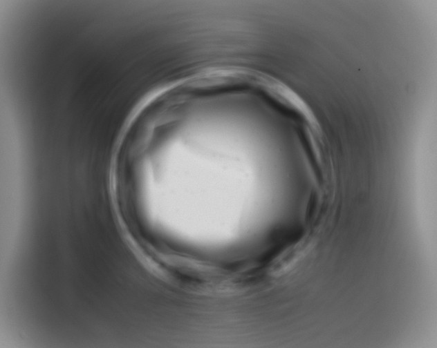 X0000113540811200910021348