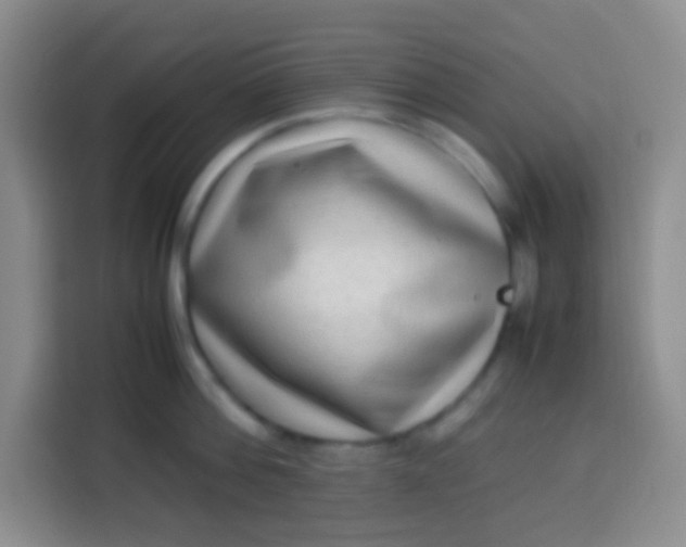 X0000113540812200910021348