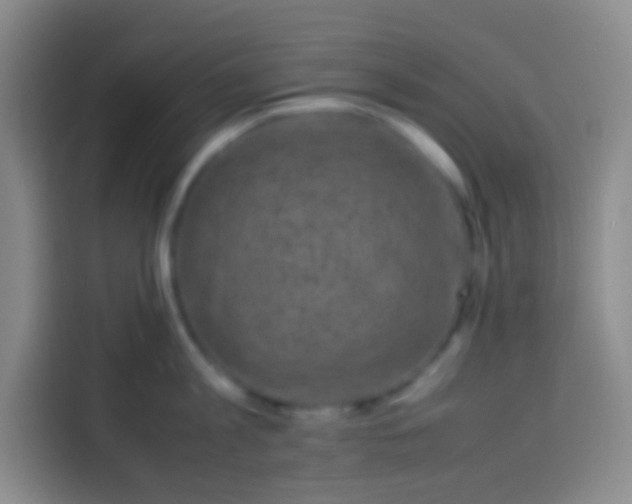 X0000113540813200910021348