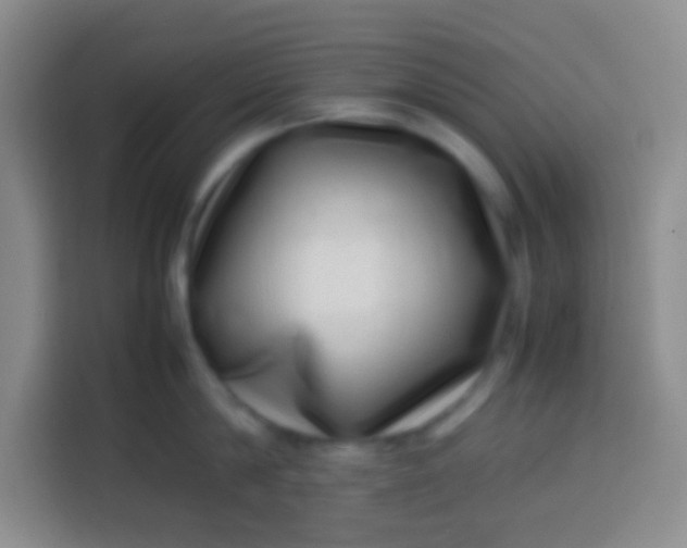 X0000113540814200910021348