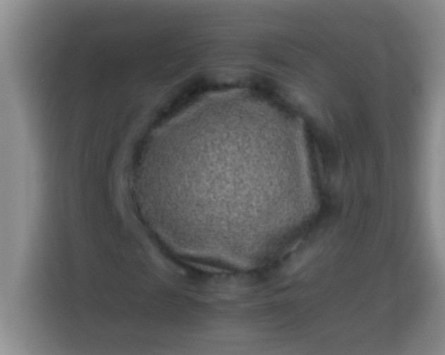 X0000113540817200910021347