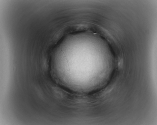 X0000113540819200910021347