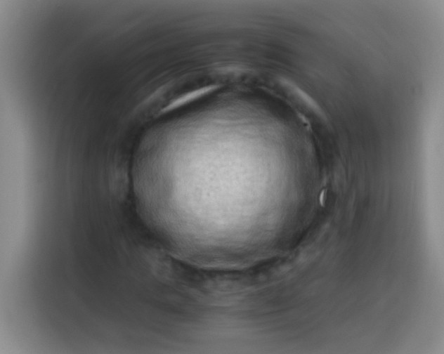 X0000113540821200910021347