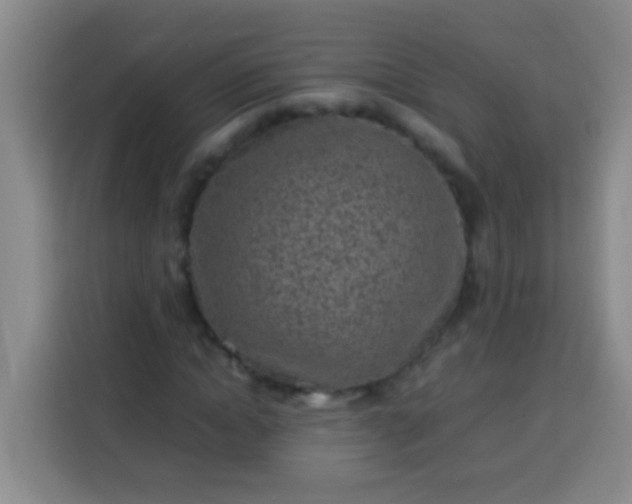 X0000113540822200910021347