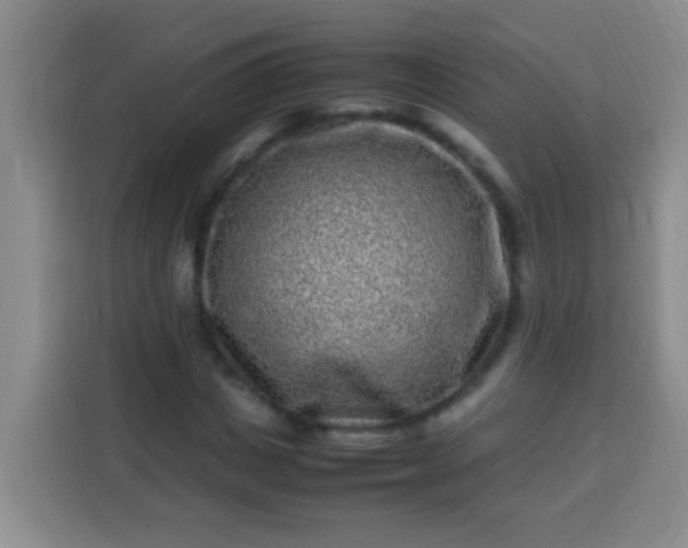 X0000113540825200910021348