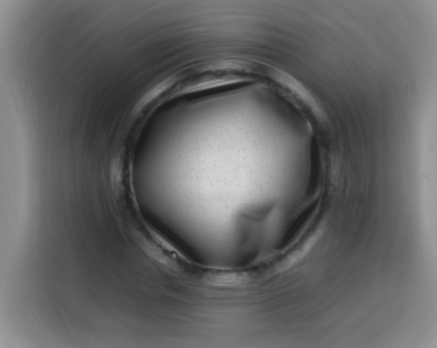 X0000113540826200910021348