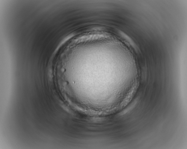 X0000113540827200910021348