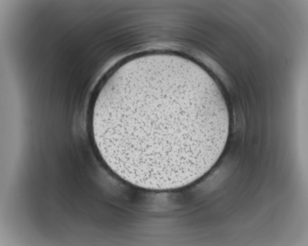 X0000113540828200910021348