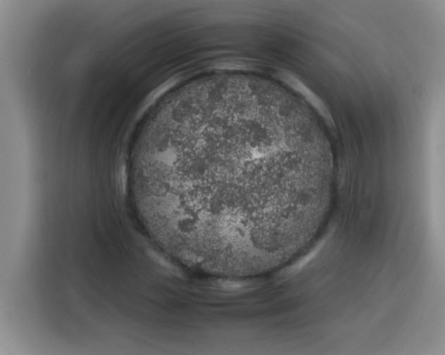 X0000113540829200910021348