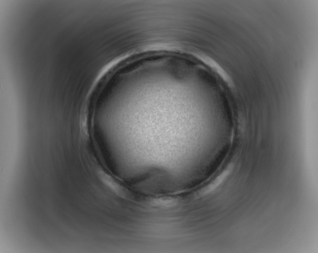 X0000113540830200910021348