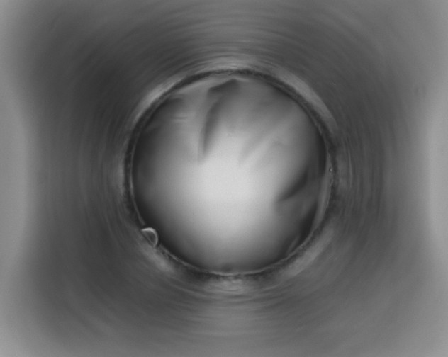 X0000113540834200910021348