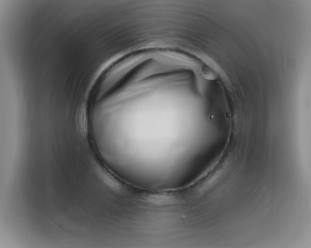 X0000113540838200910021348