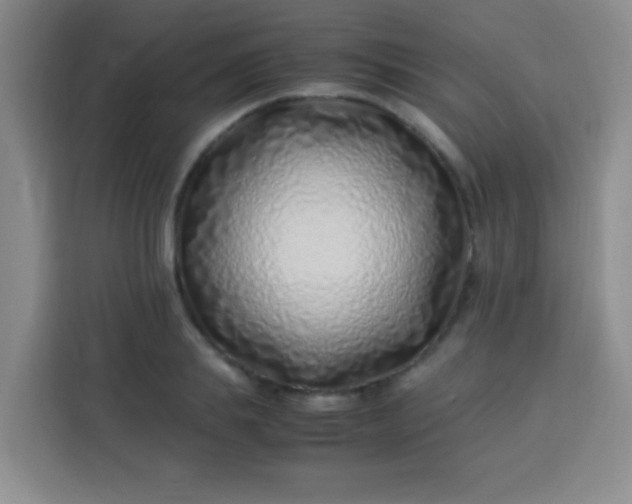 X0000113540839200910021348