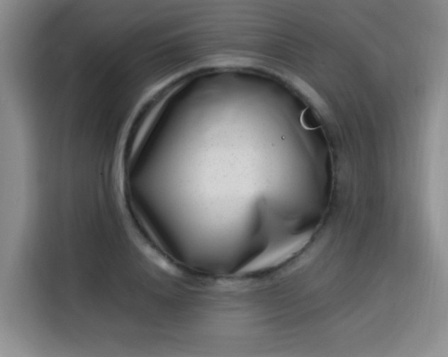 X0000113540840200910021348